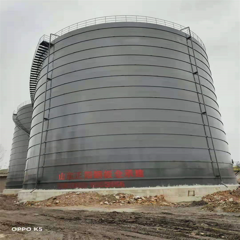 平果3万吨大型钢板库