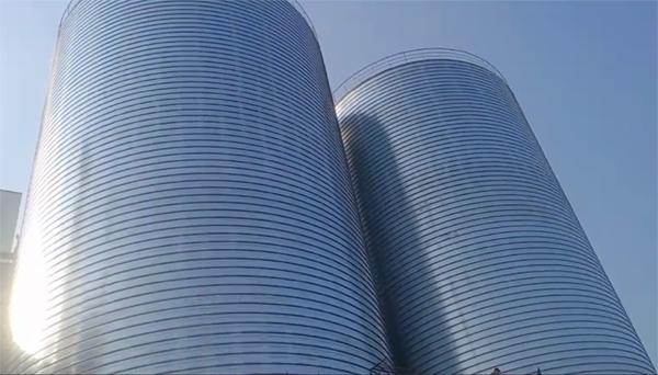 平果2座混凝土高架卷板仓